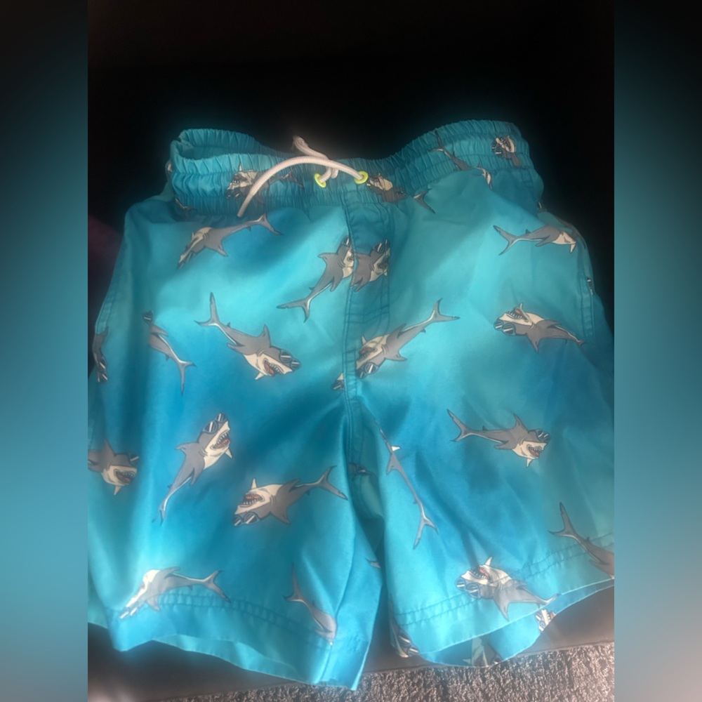 Swim Trunks